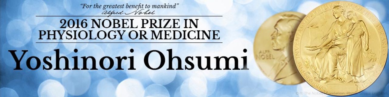 Nobelpriset i medicin går till  Yoshinori Oshumi