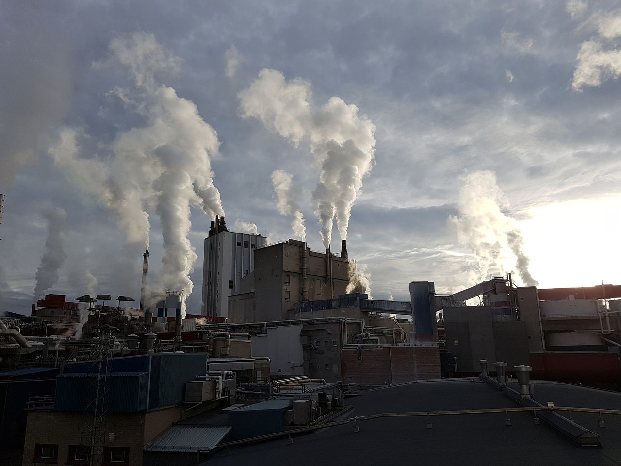 Sverige är näst bäst i klimatranking