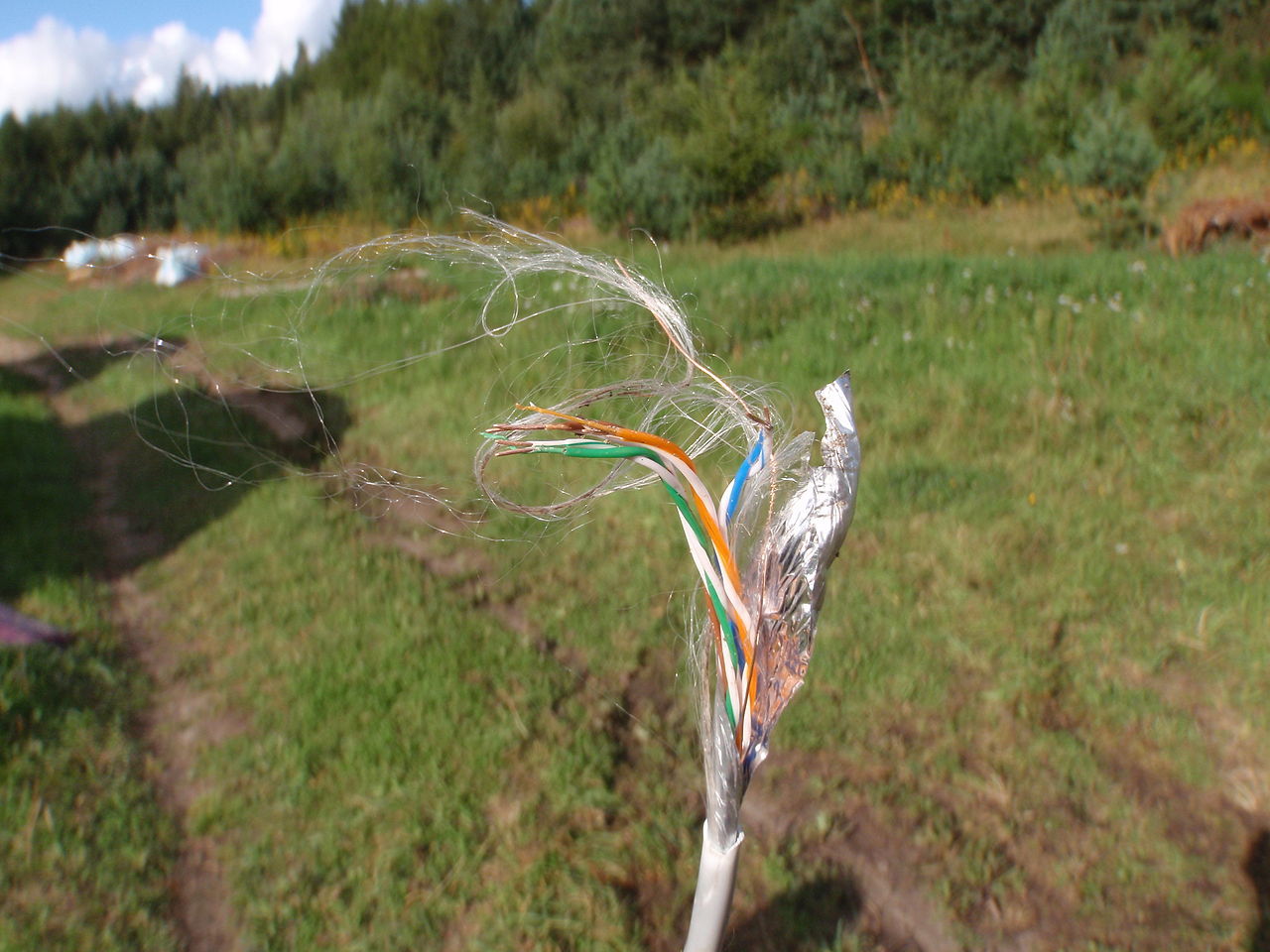 Stora störningar i Bahnhofs internettrafik