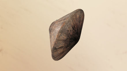 Tumnagel