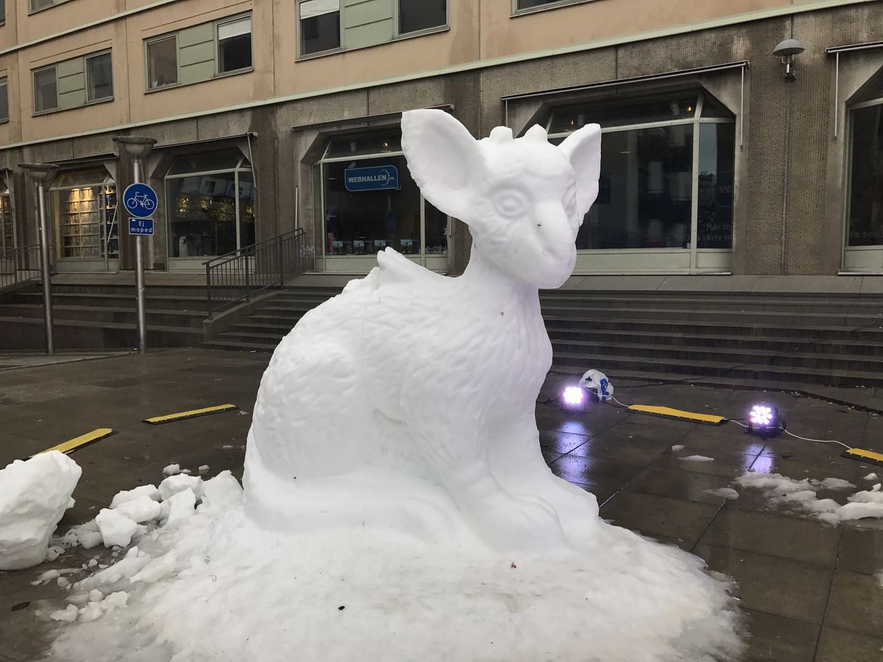 Spana in en snö-Trico