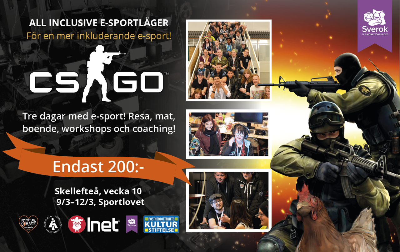 Sverok anordnar Counter Strike-läger