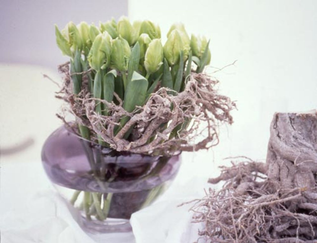 Idag är det tulpanens alldeles egna dag