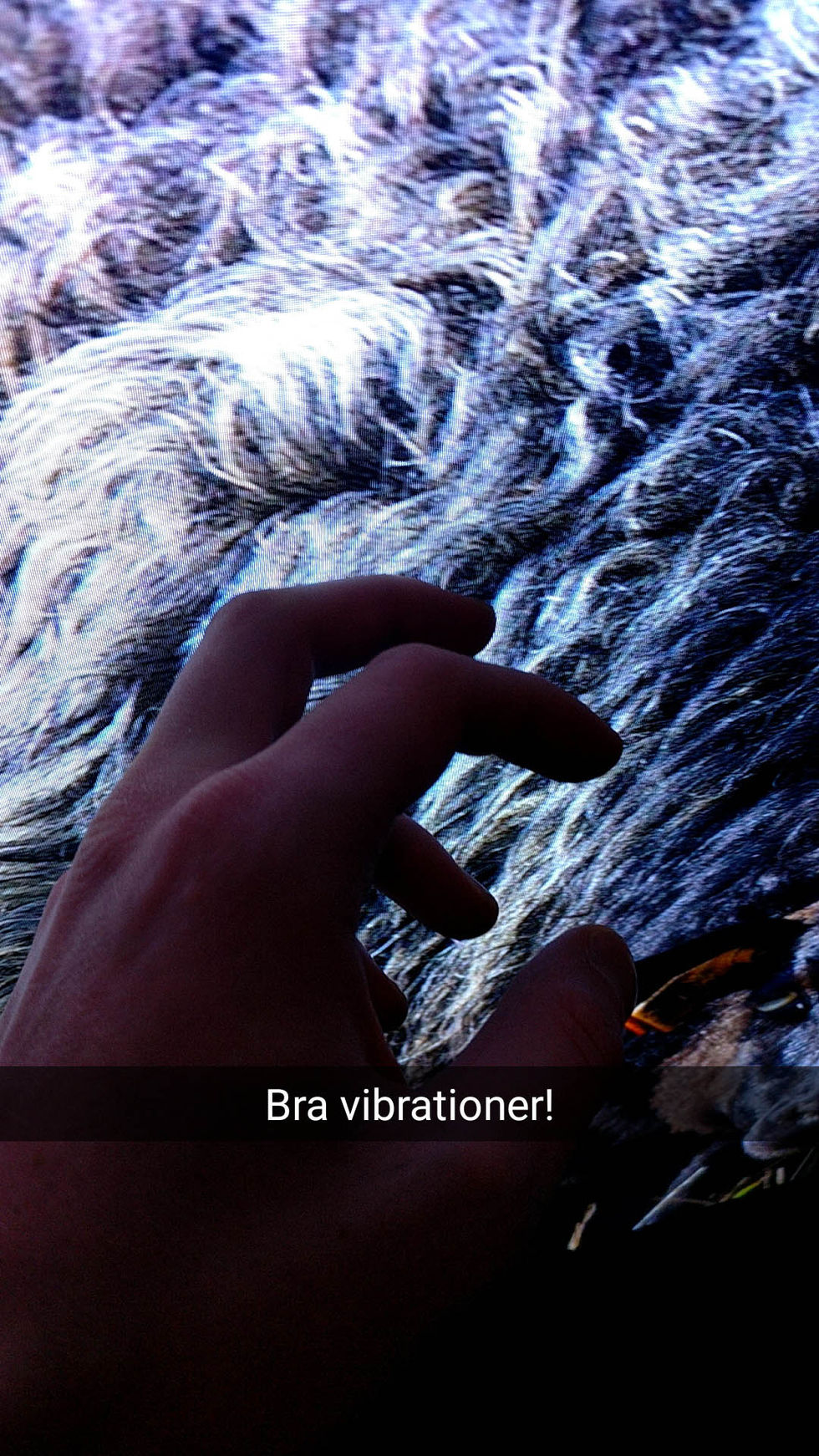 Bild till artikel