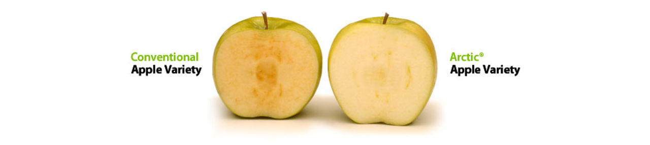 Nu börjar äpplen som inte blir bruna att säljas