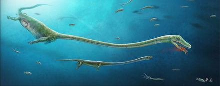 Tumnagel