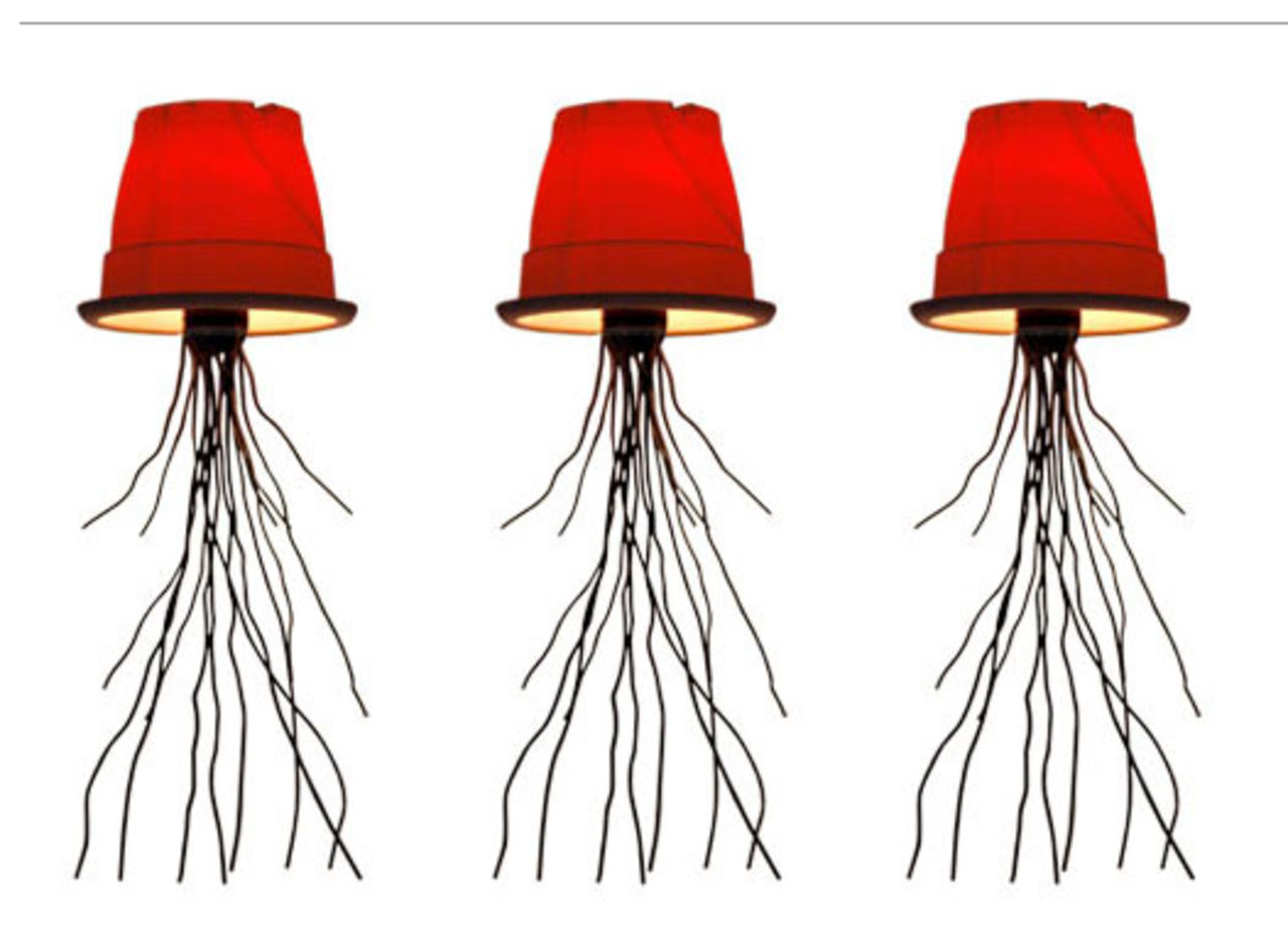 Plant Lamp från karichdesign