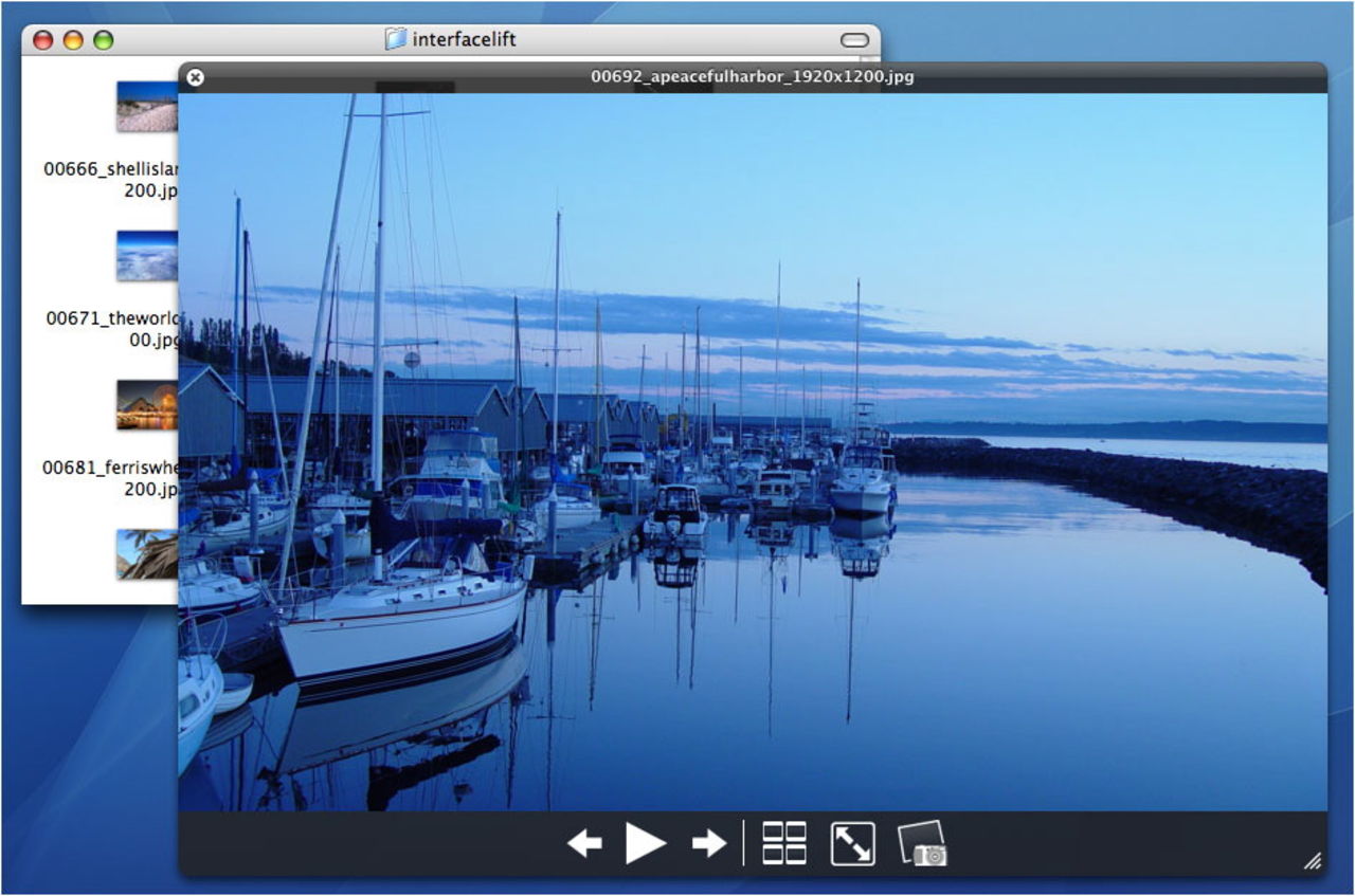 Fler bilder från Leopard