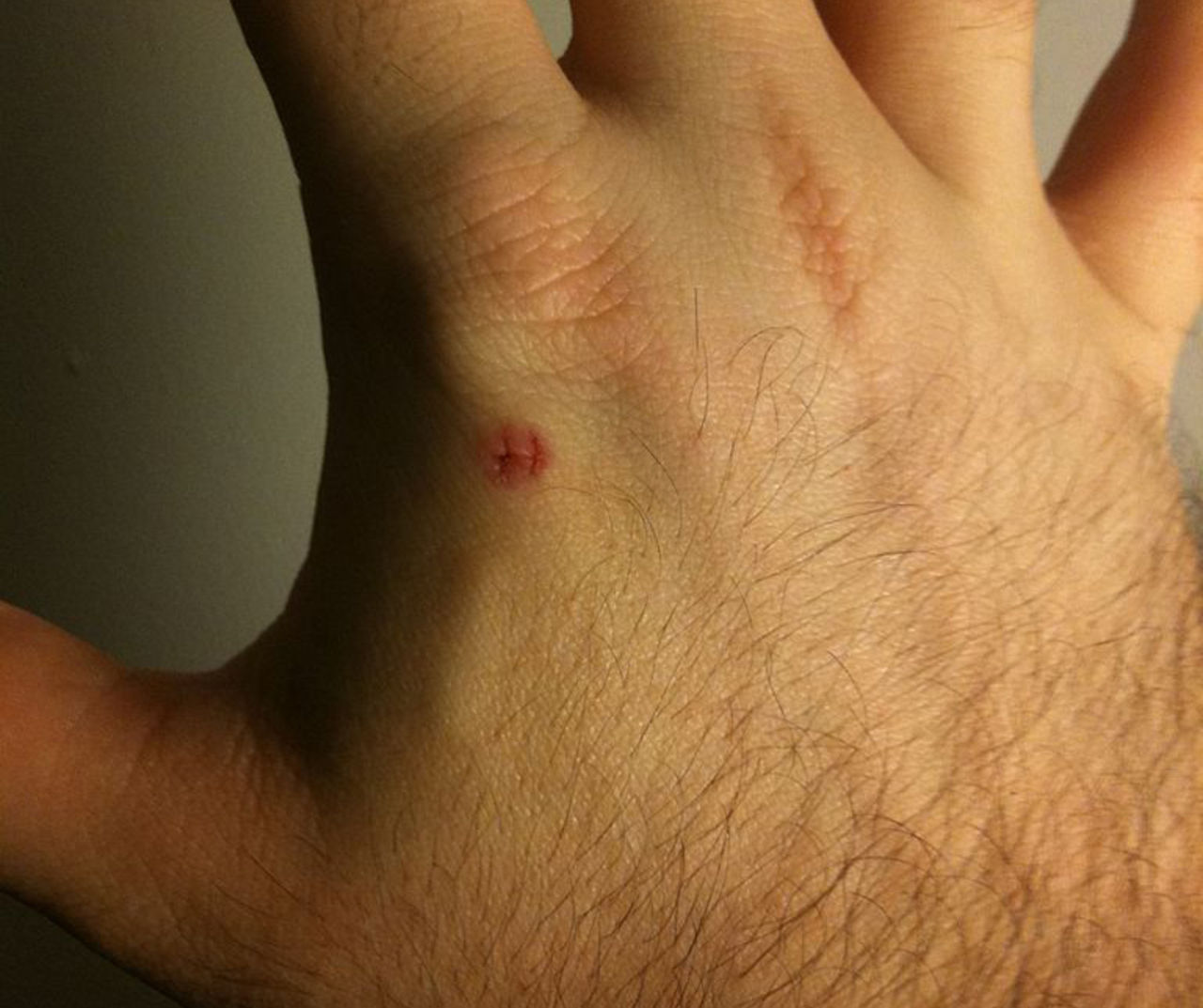 Nu kan man ha sin tågbiljett inuti handen