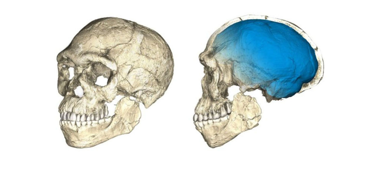 Människan är 100 000 år äldre än vad man trott