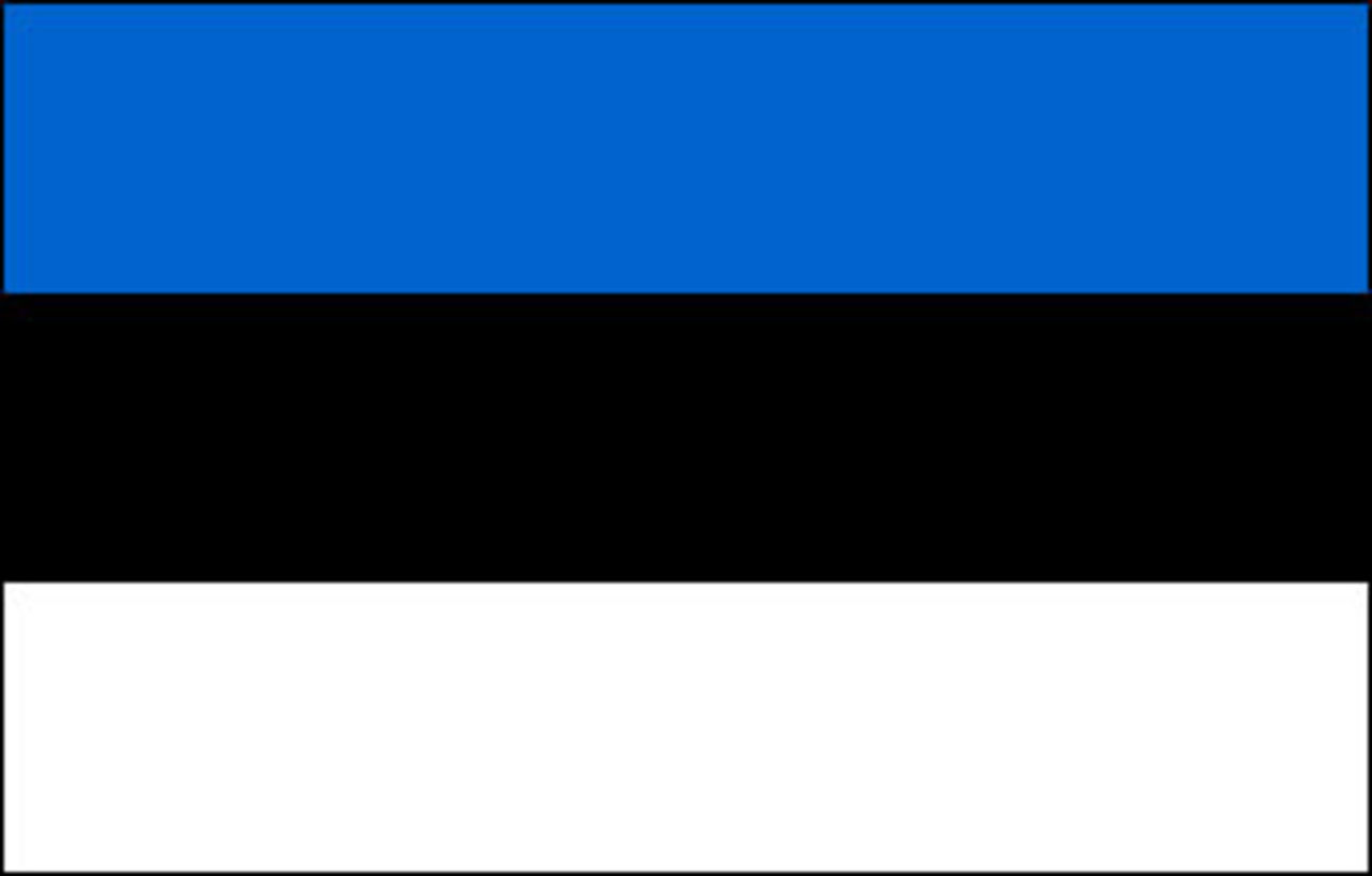 Estland blir först i världen med val via Internet