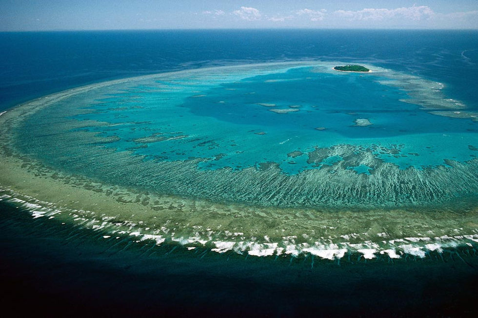 australien stora barriärrevet australien stora barriärrevet