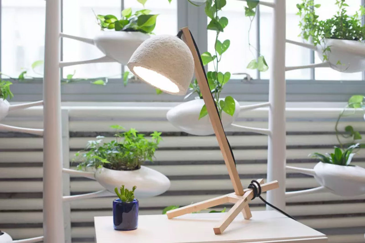 Nu kan du odla egna lampskärmar