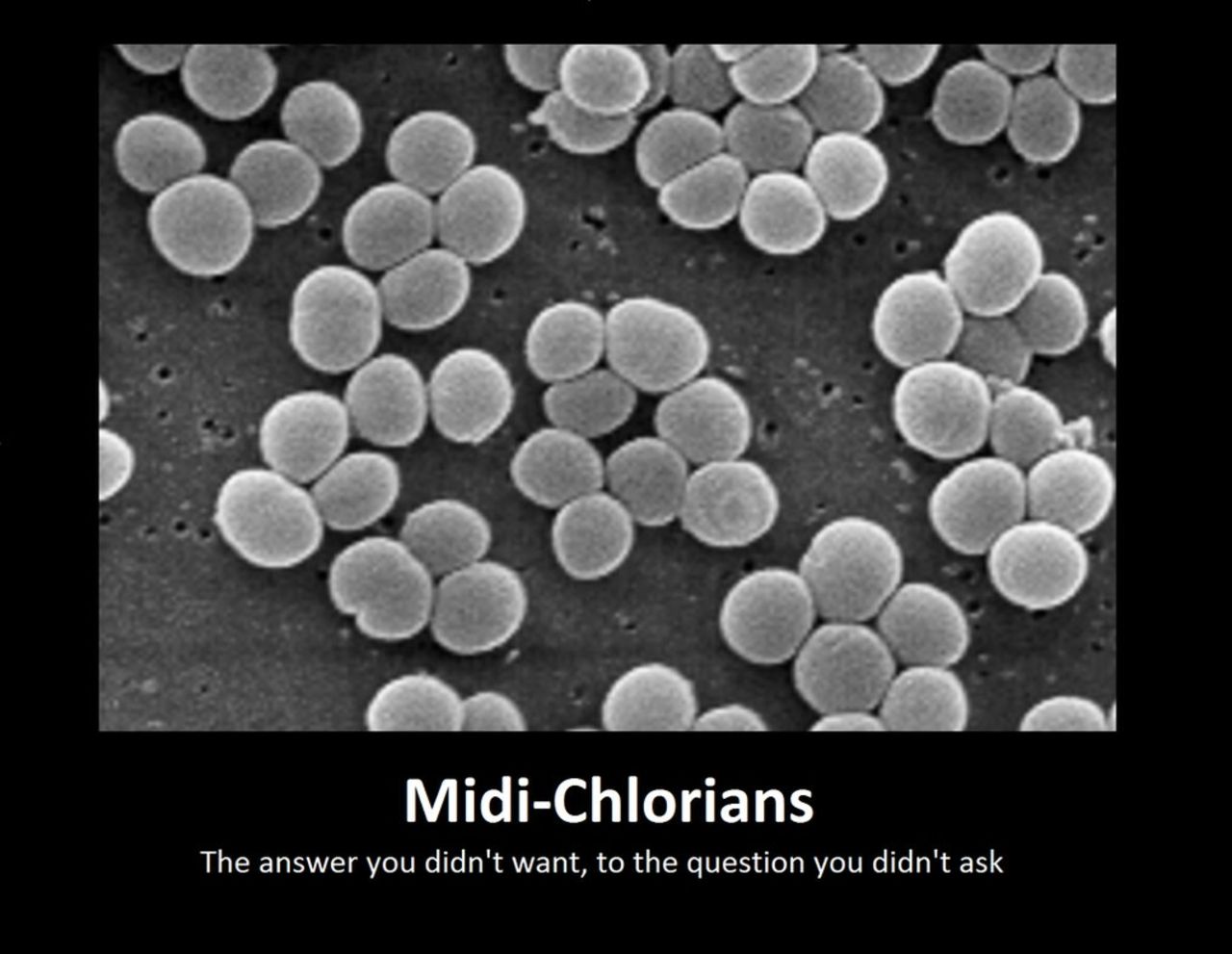 Artikel om midi-chlorianer publicerad av flera vetenskapliga tidskrifter