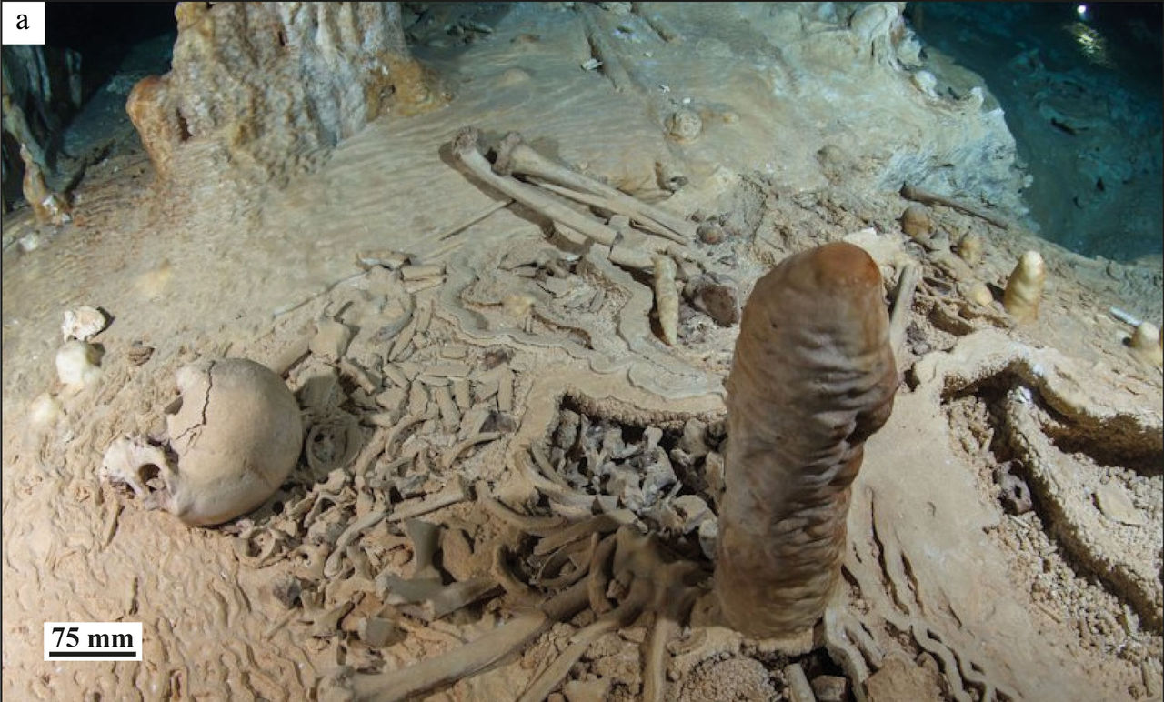 Amerikas hittills äldsta mänskliga kvarlevor hittade