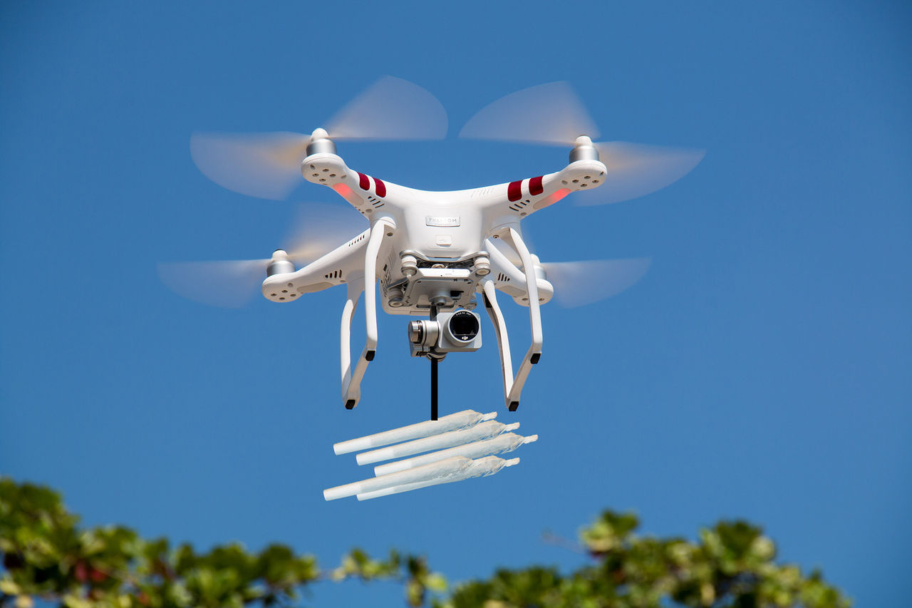 Gräs-leveranser via drönare förbjuds i Kalifornien