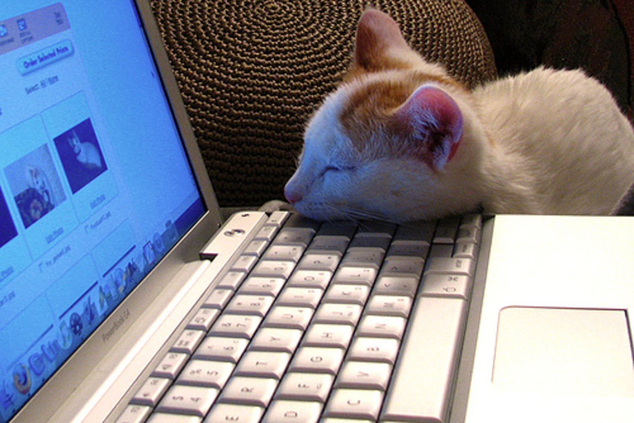 Jolt håller skärmen vaken