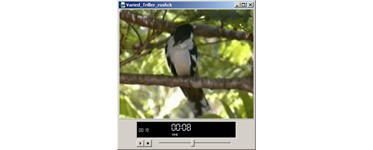 Hejdå Windows Media Player?