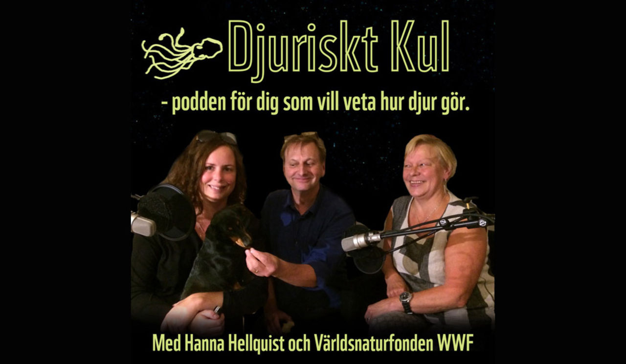 WWF drar igång podcasten Djuriskt kul