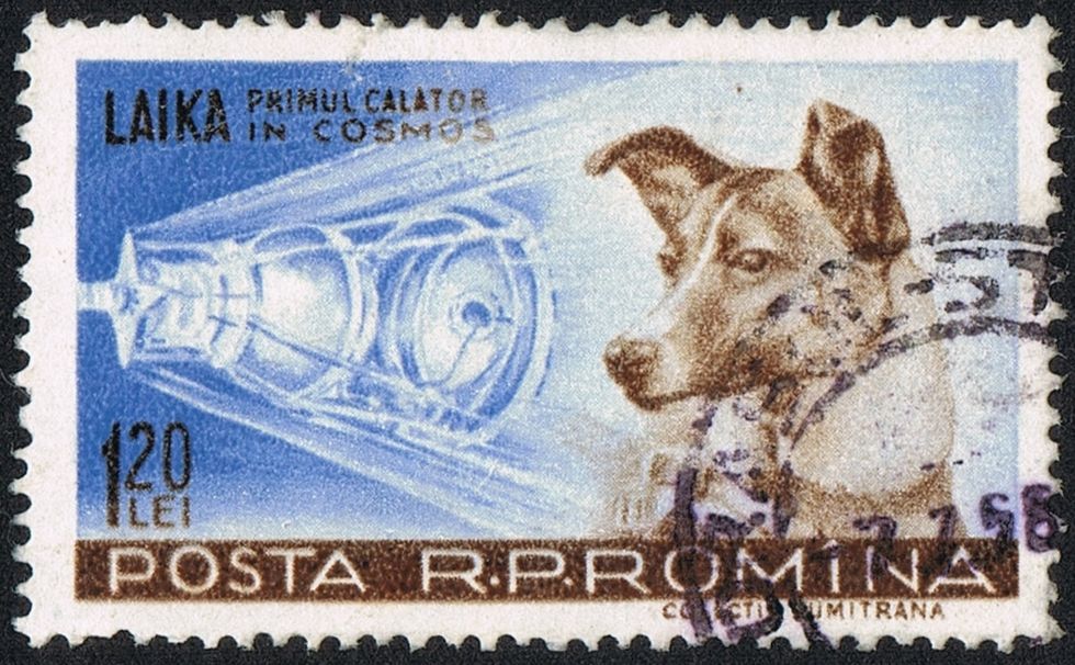 Tut i luren - 60 år sedan Laika åkte till rymden idag!