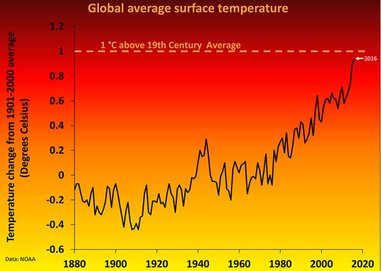 2017 ser ut att bli ännu ett rekordvarmt år