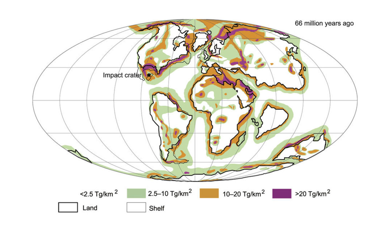 Dinosaurierna hade inte behövt dö ut