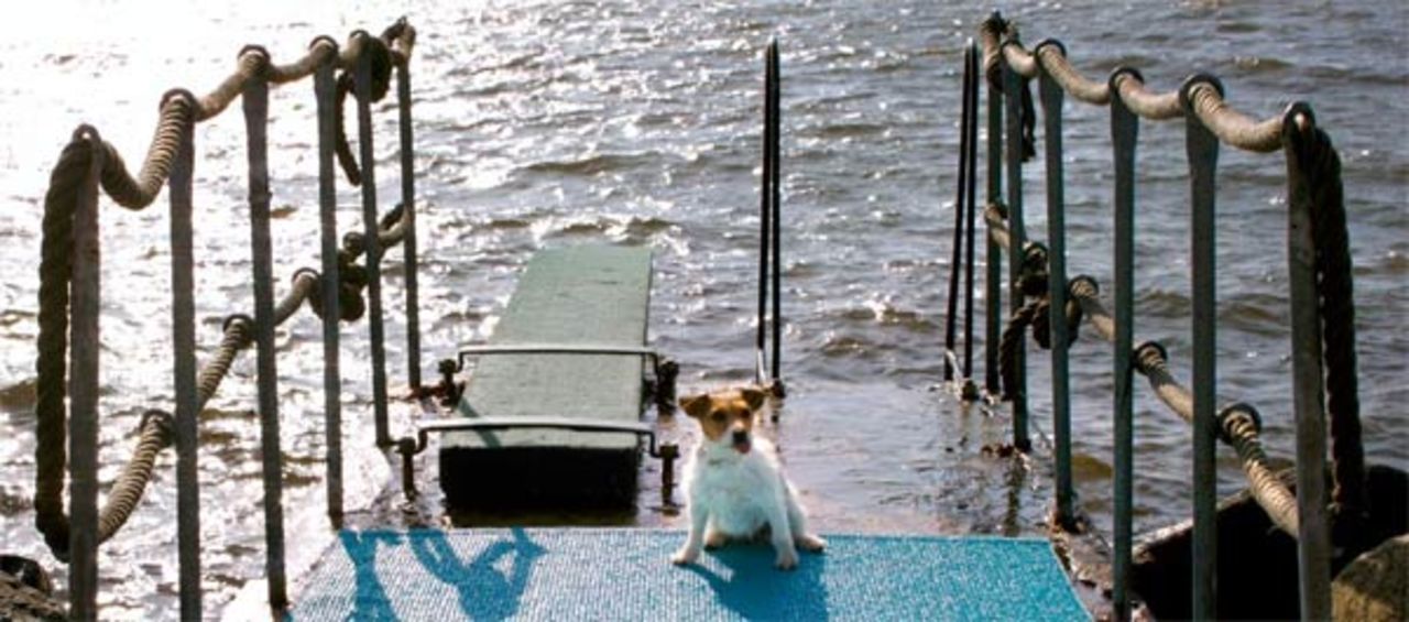 Pappelinas webb har fått ett lyft