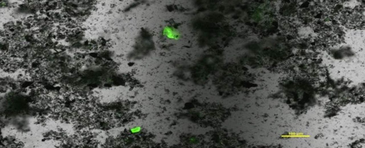 Ny metod ska upptäcka mikroplaster i havet