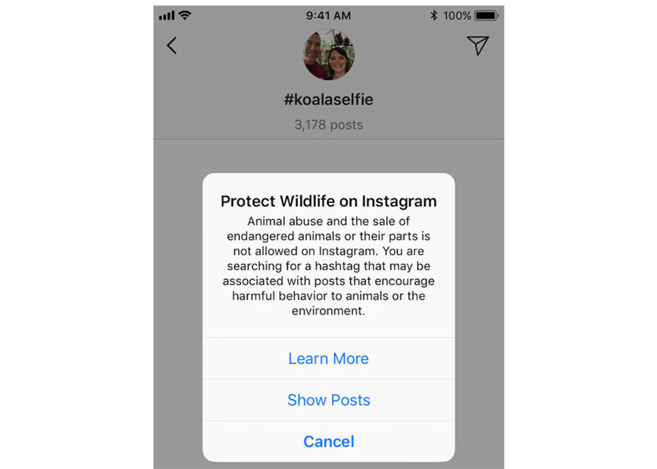 Instagram börjar varna för djurselfies