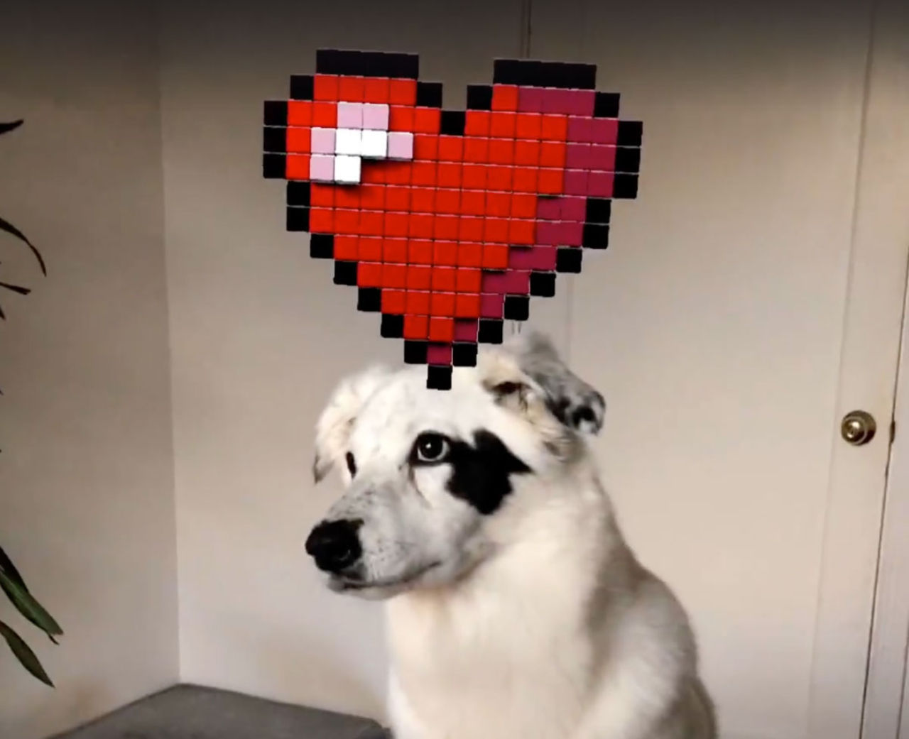 Lägg in 3D-objekt i dina filmer 