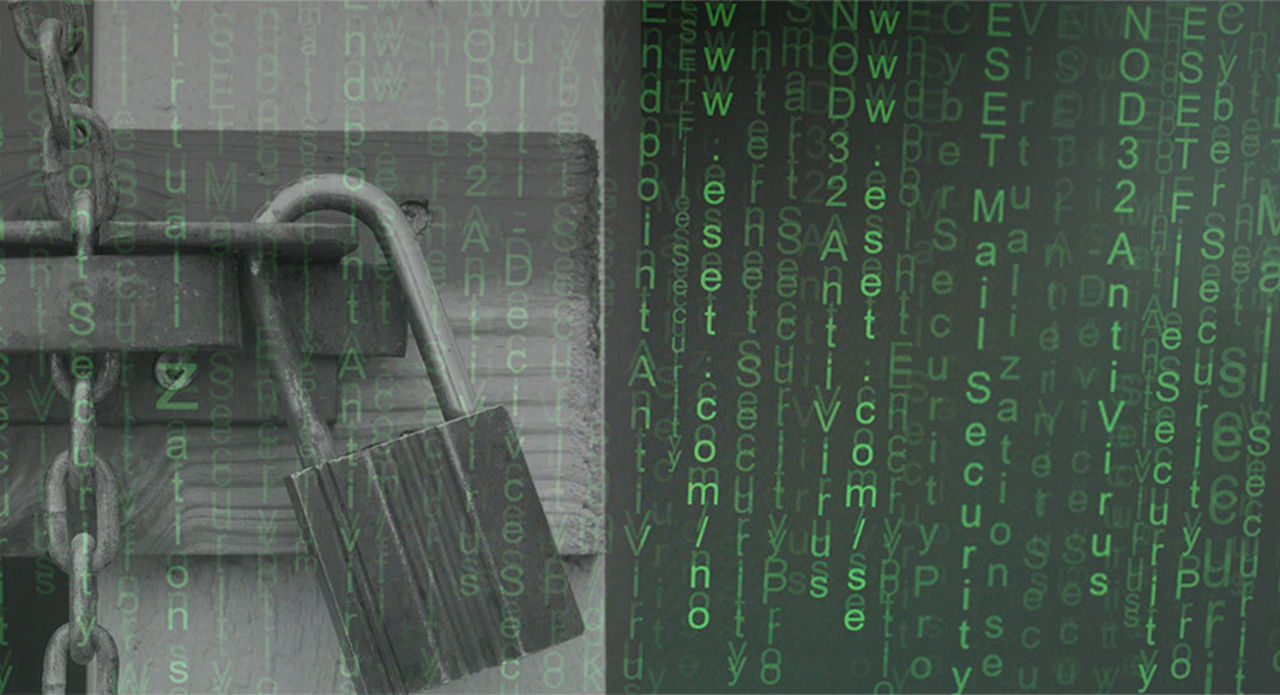 Att gripa cyberbrottslingar