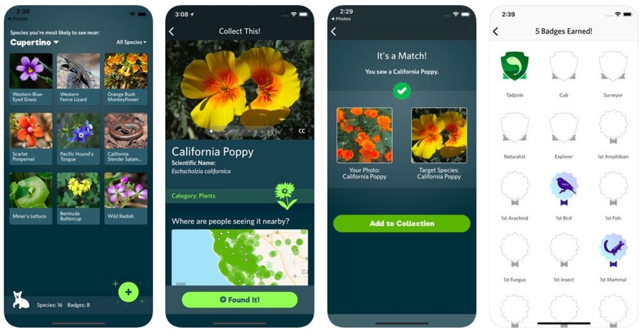 Identifiera växter och djur med Seek