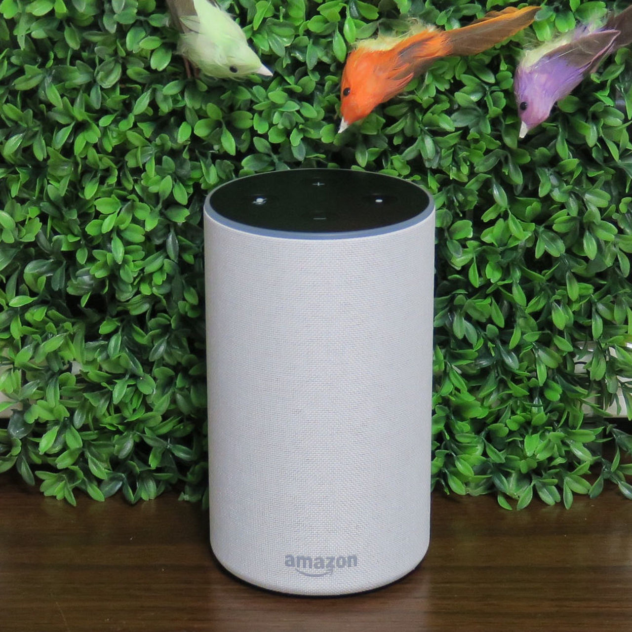 Smarta assistenten Alexa får ett minne