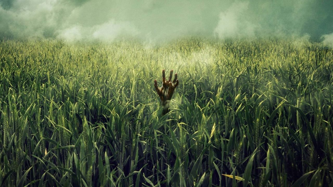 Netflix gör film av Stephen Kings In the Tall Grass