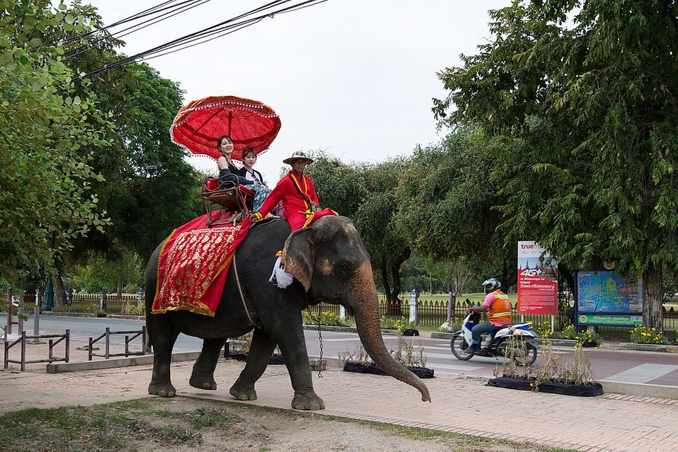 Slut med elefantridning för turister i thailändska Chang Mai