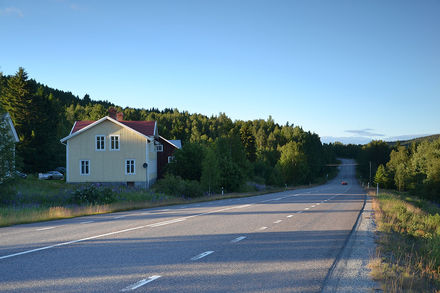 Tumnagel