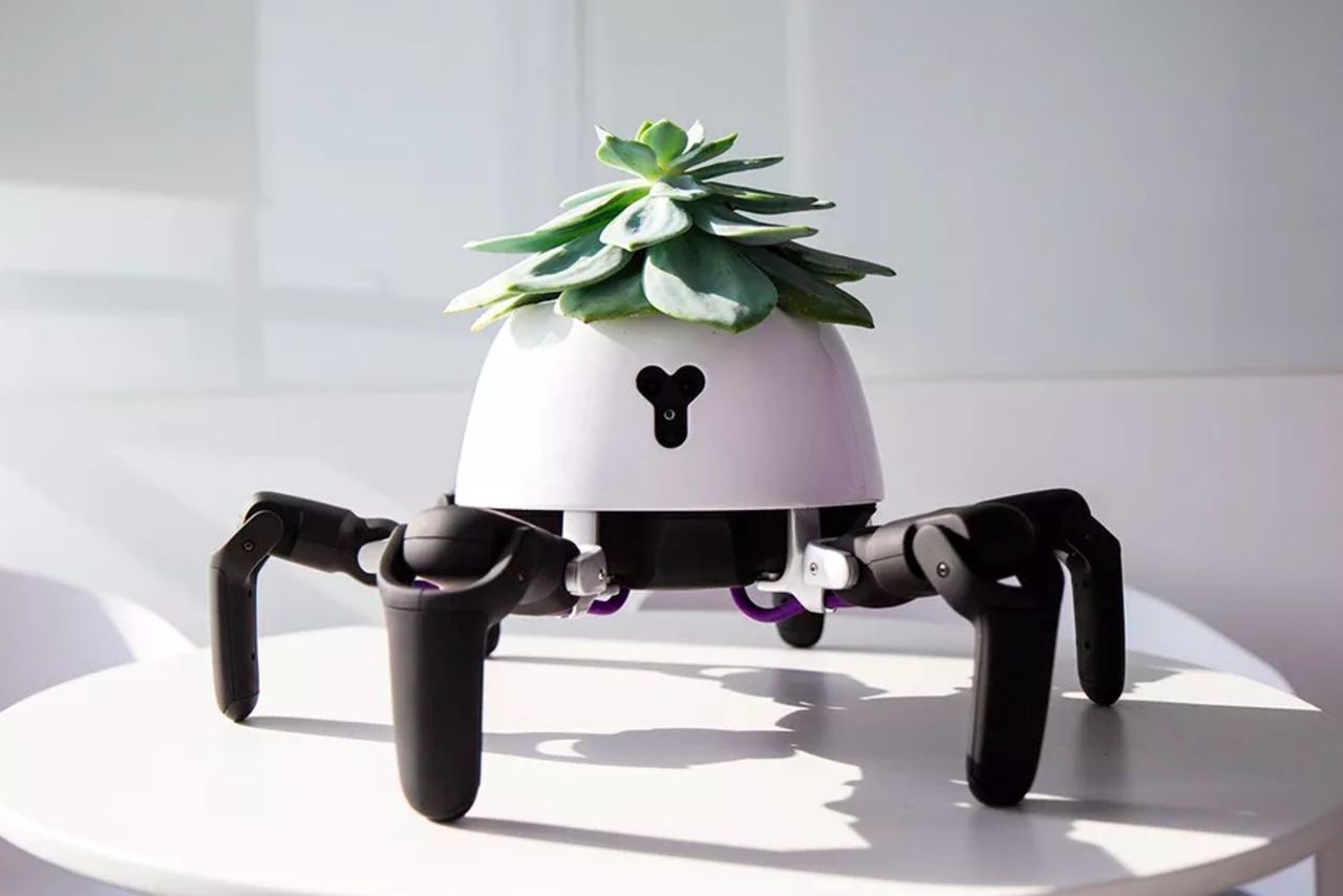 Snubbe har gjort en soljagande robot