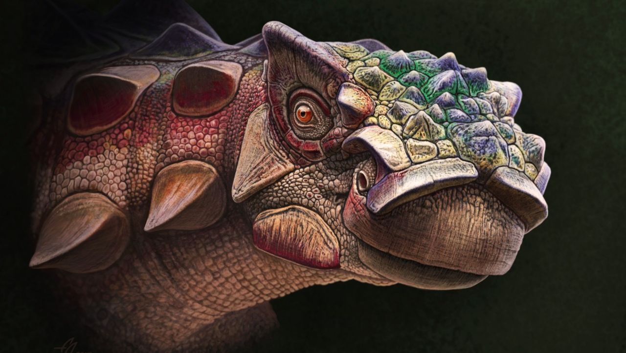 Ny bepansrad dinosaurie-art hittad i USA