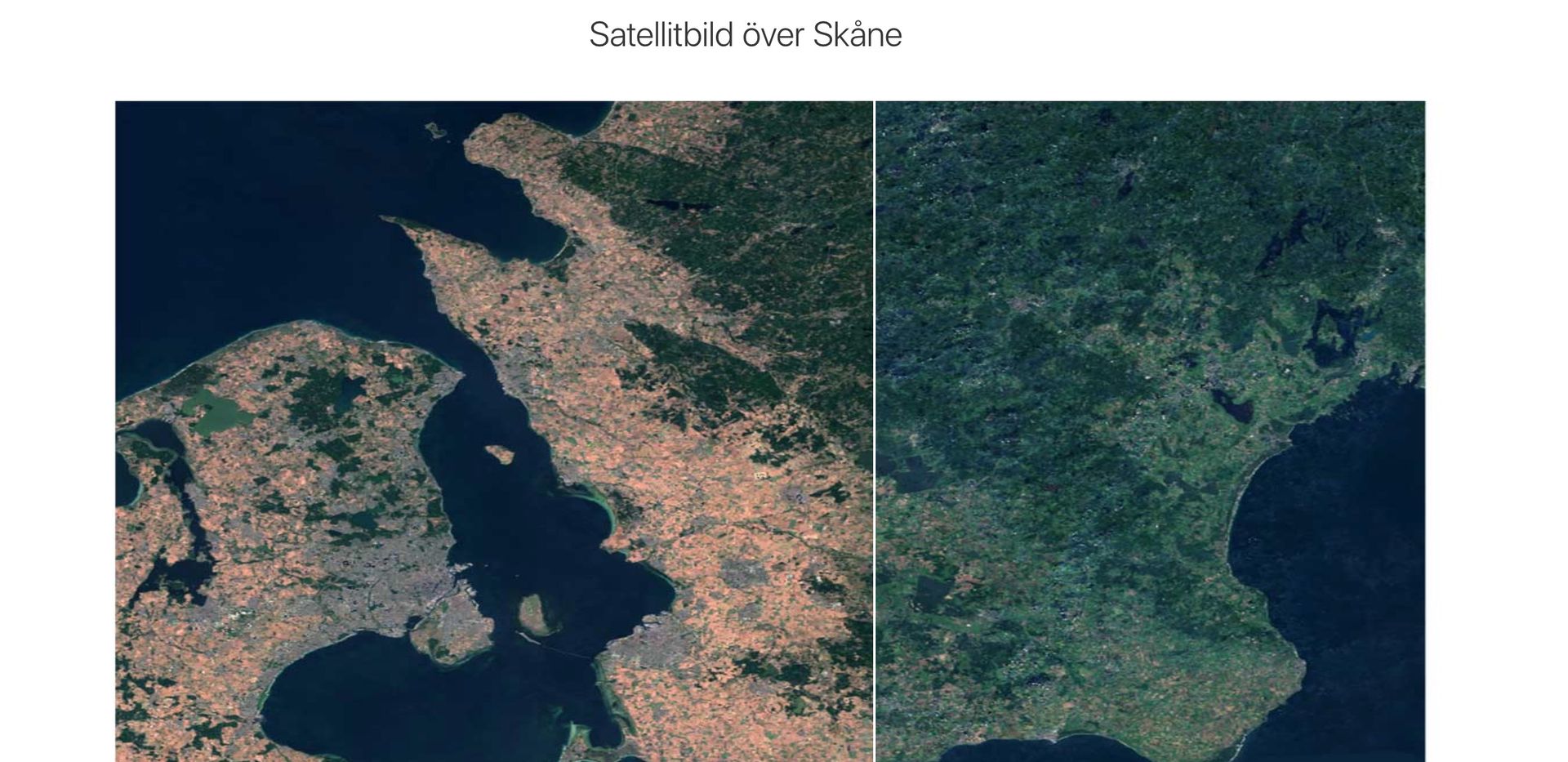Hemsida som visar torkan över Sverige