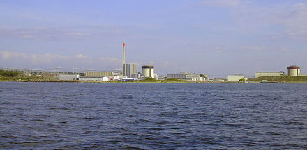 Tumnagel
