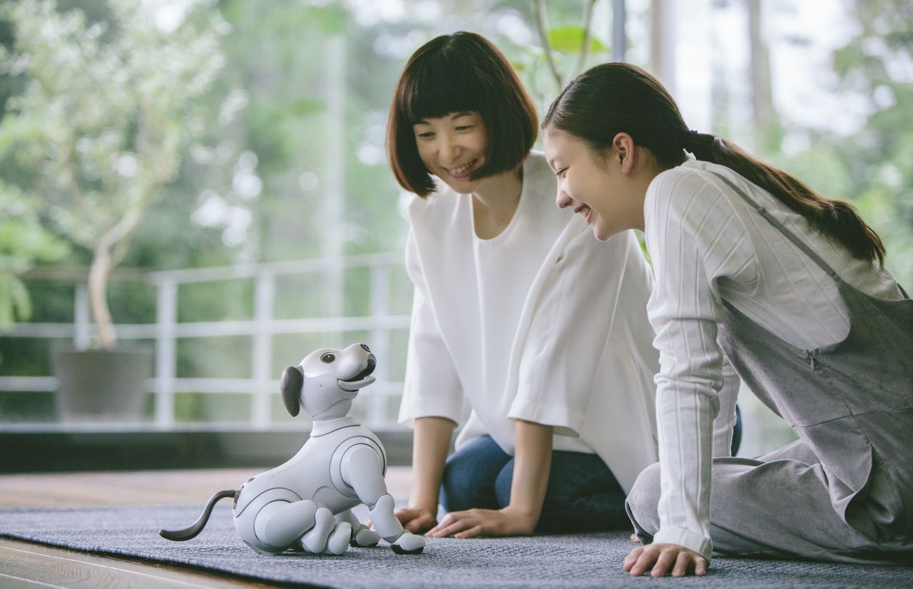 Sonys robot Aibo letar sig ut från Japan