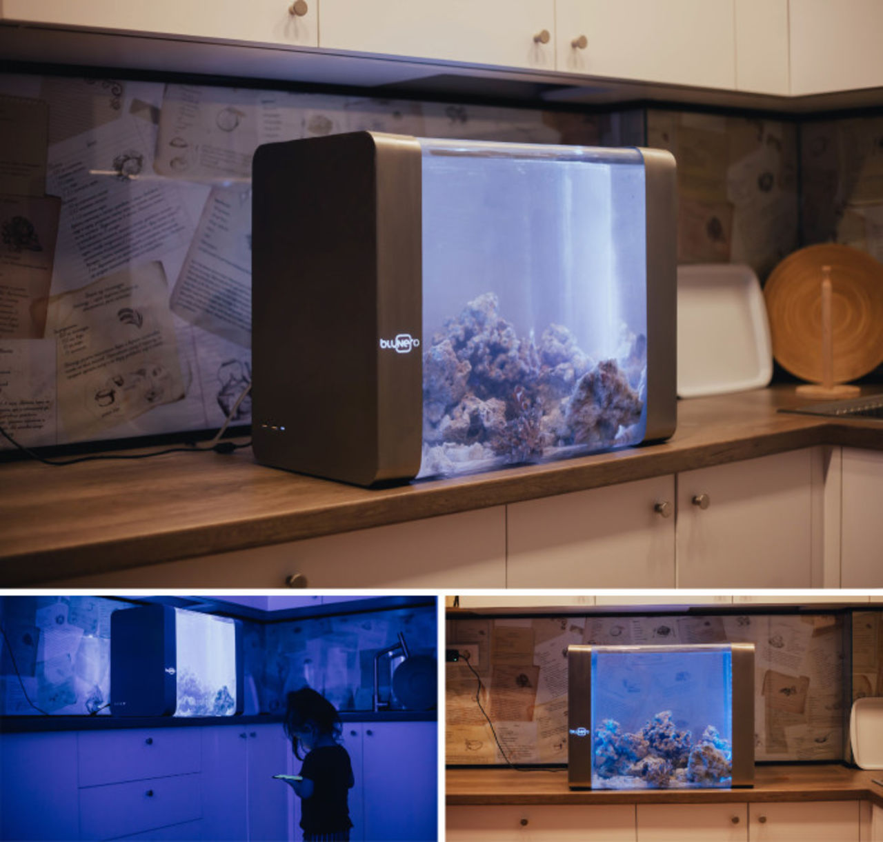 Bluenero är ett smart akvarium