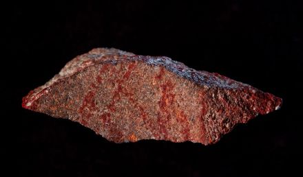 Tumnagel