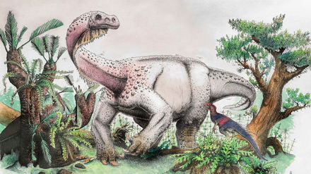 Tumnagel
