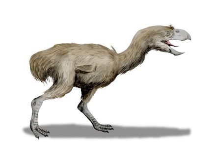 Tumnagel