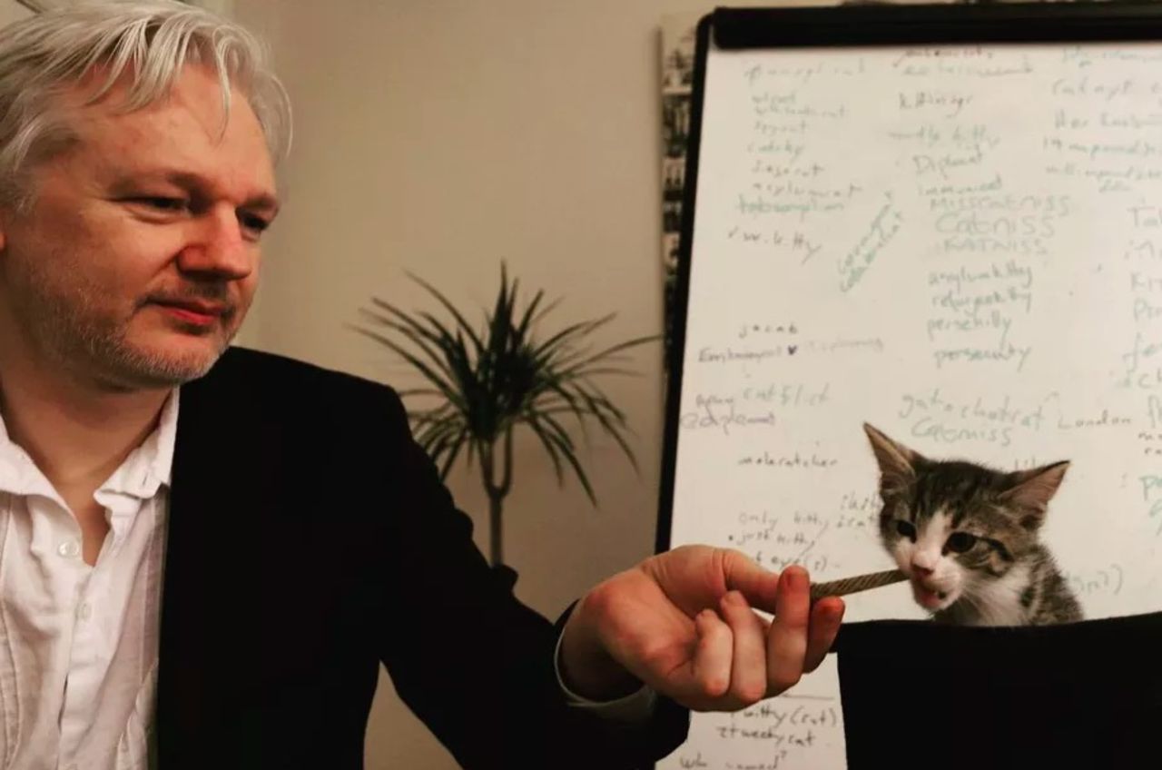 Ecuador vill att Julian Assange tar hand om sin katt