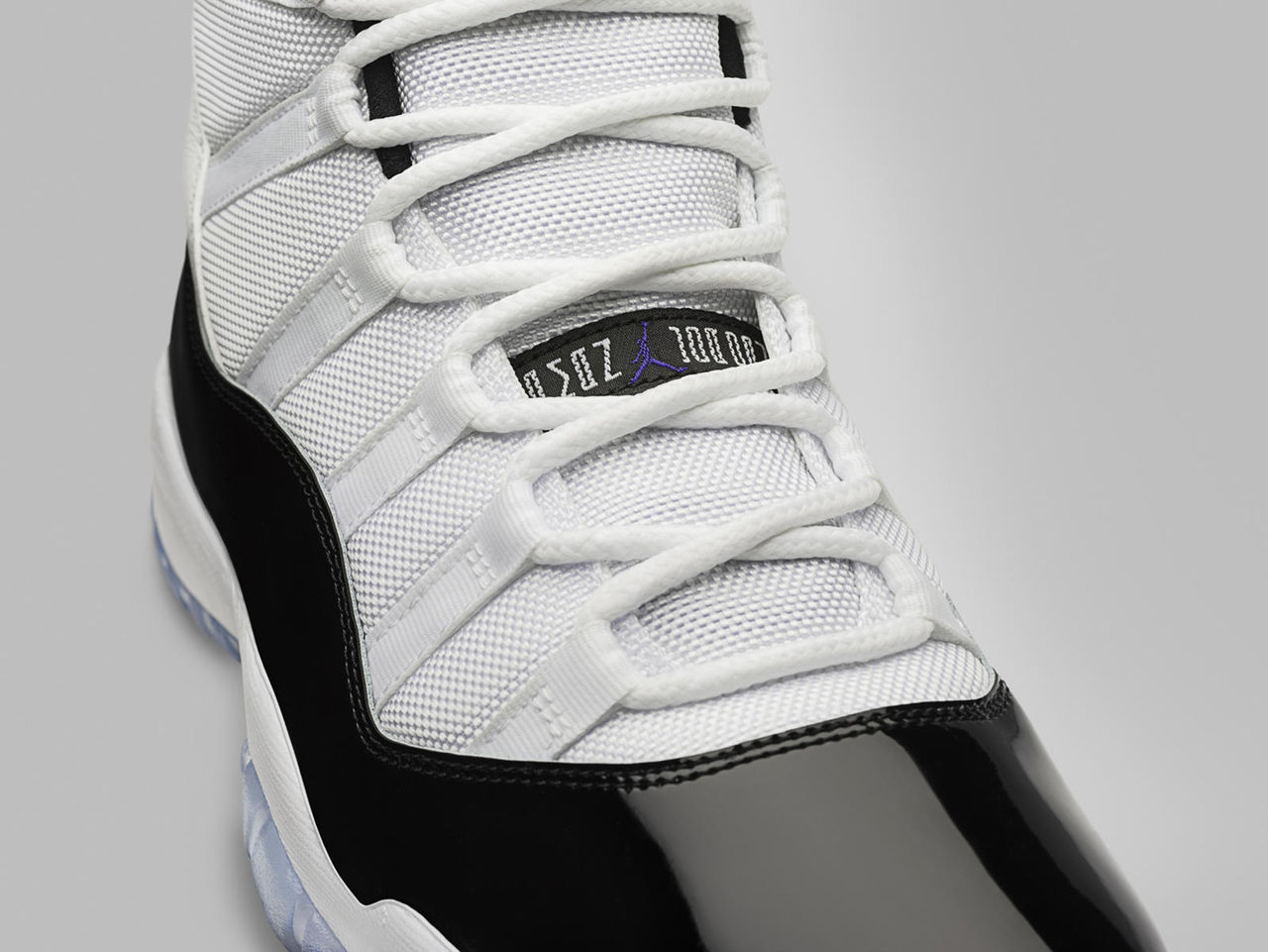 jordan 11 concord back