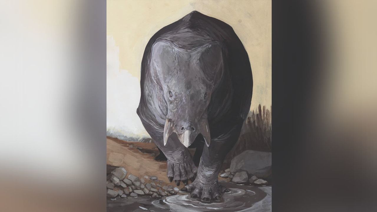 Stort däggdjur som levde samtidigt som dinosaurer hittat