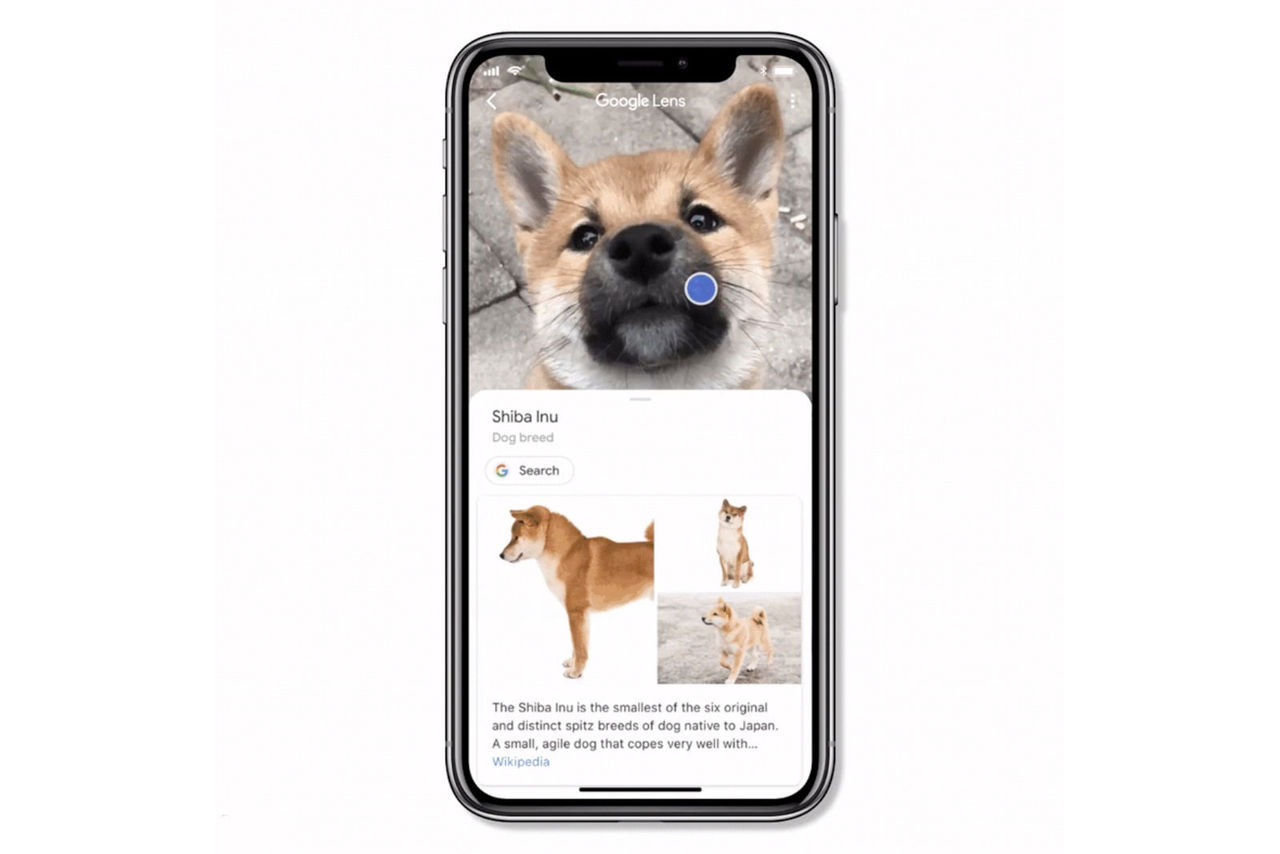 Nu kommer Google Lens till iOS