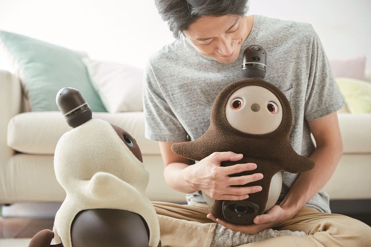 Lovot är en gullig liten sällskapsrobot